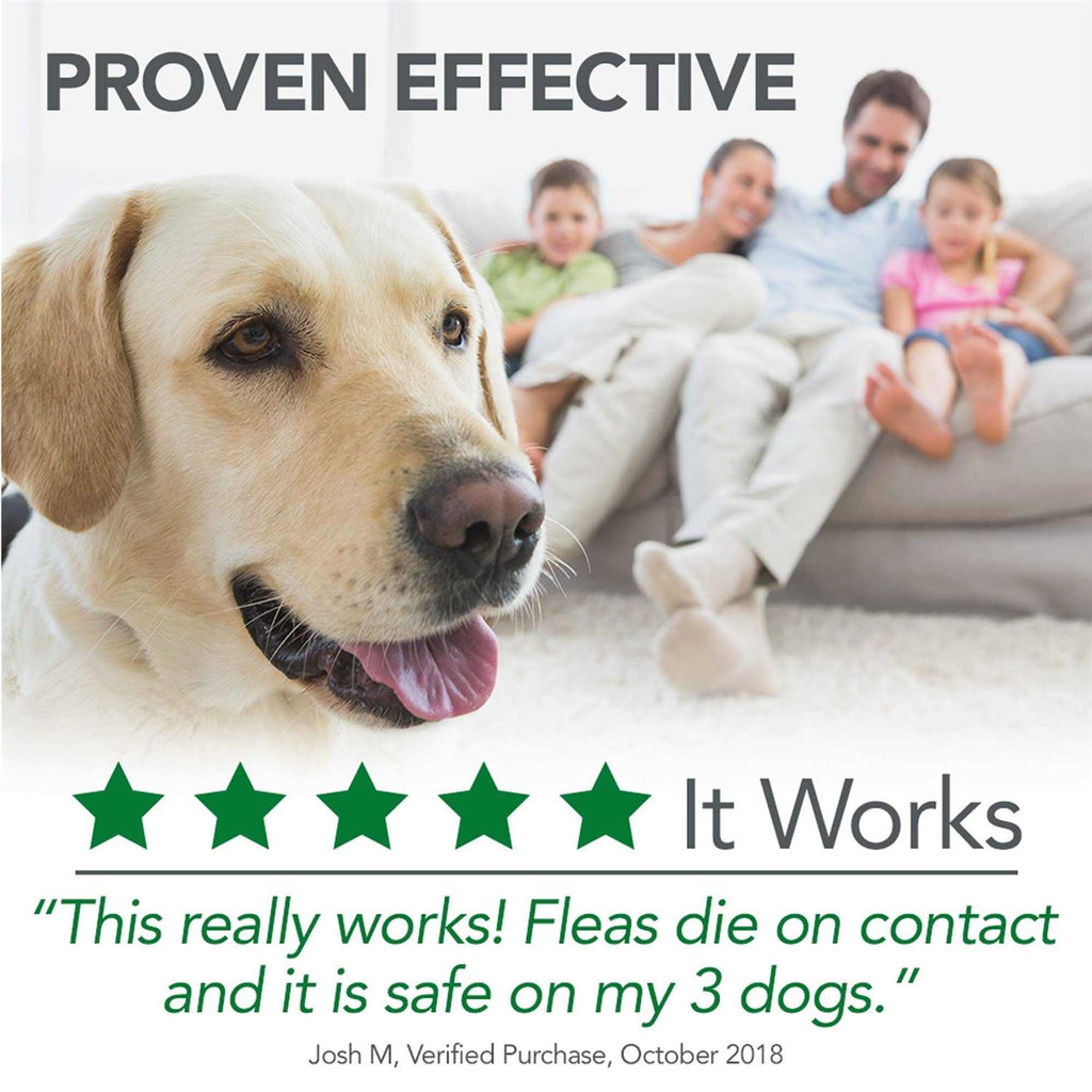 Flea Tick Home Spray T202
