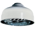 6x22 Shower Rose Polished Chrome C30984