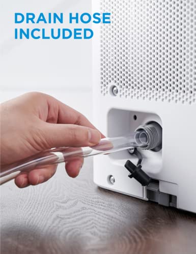 50 Pint Dehumidifier with Drain Hose L205949