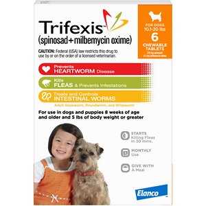 Dog Flea and Tick Prevention 6pk M847