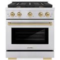 30 4.2 cu. ft. Gas Range with Convection Gas Oven in Stainless Steel J4135
