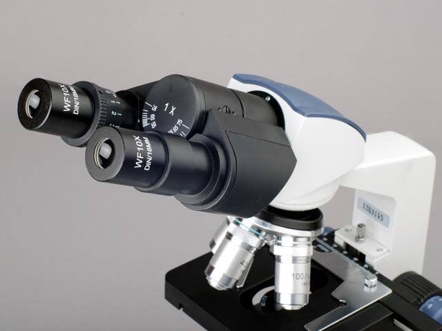 40X-2000X LED Digital Binocular Compound Microscope with USB Camera C343