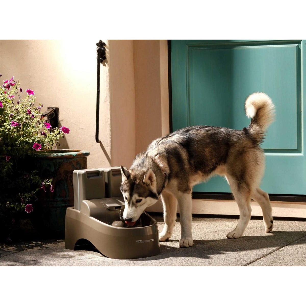 Outdoor Dog Fountain W4419