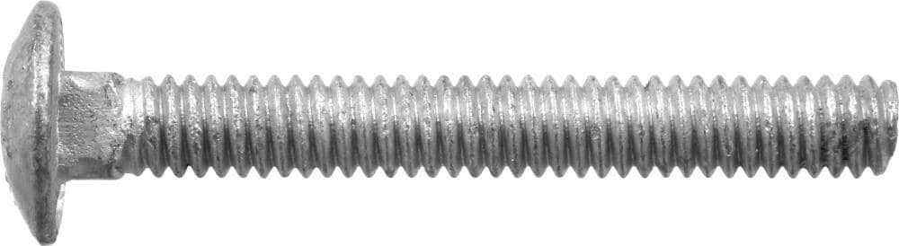 5/8-in x 5-in Galvanized Coarse Thread Exterior Carriage Bolt C237