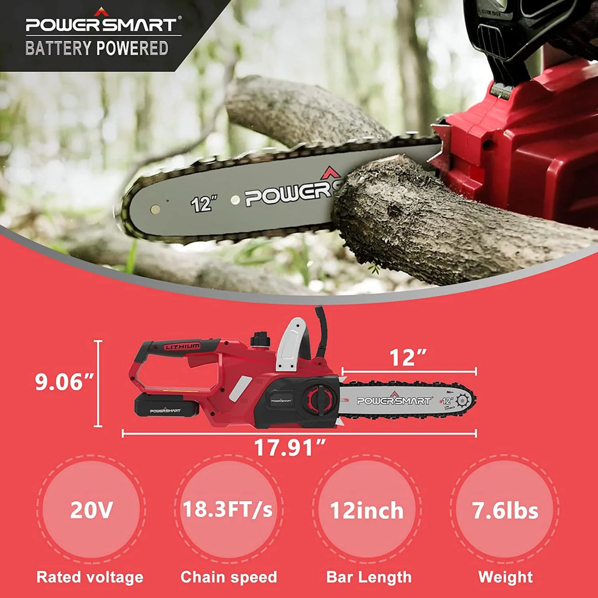 20-Volt Cordless Chainsaw C808224