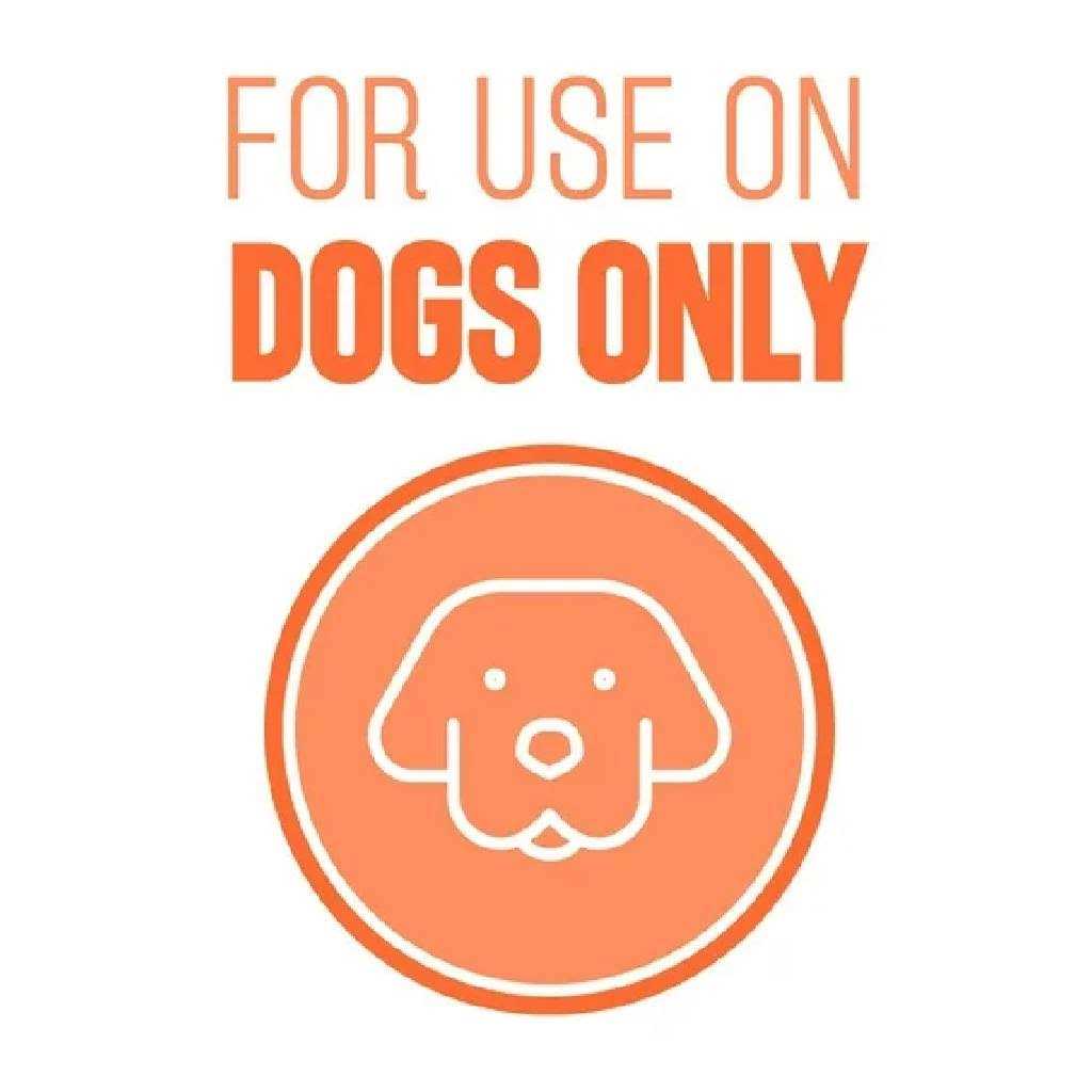 Natural Flea & Tick Shampoo Q666316