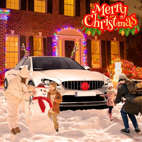 Christmas Reindeer Car Kit with LED B35441