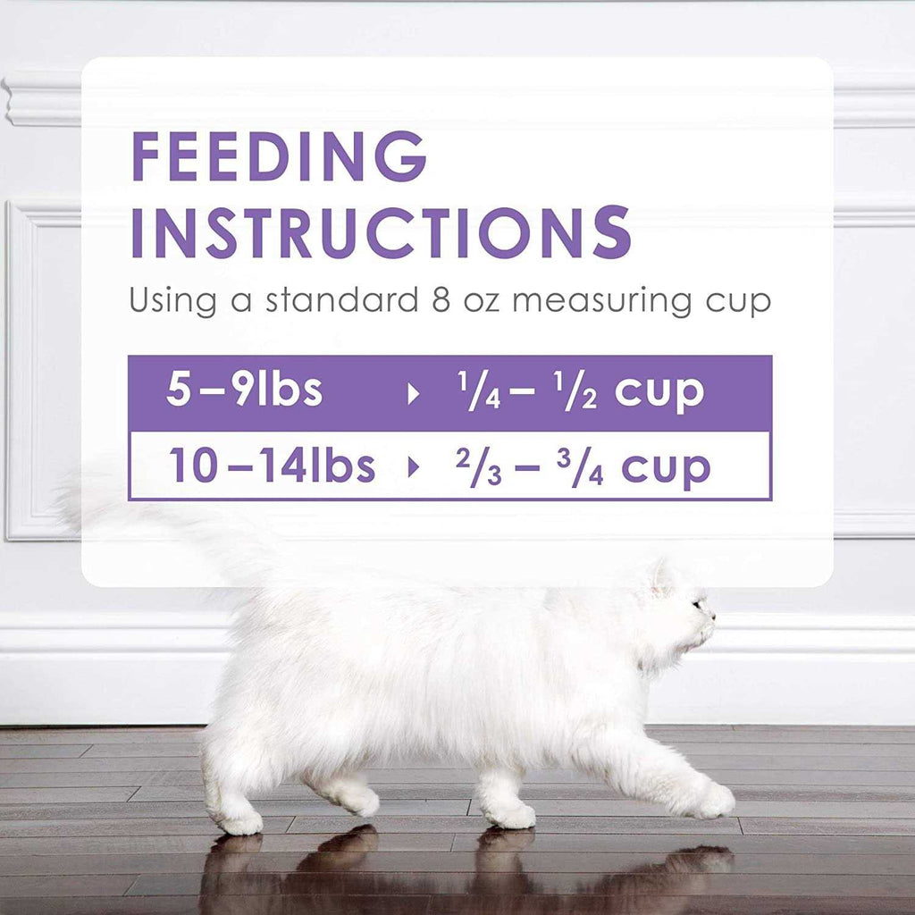 Dry Cat Food T451