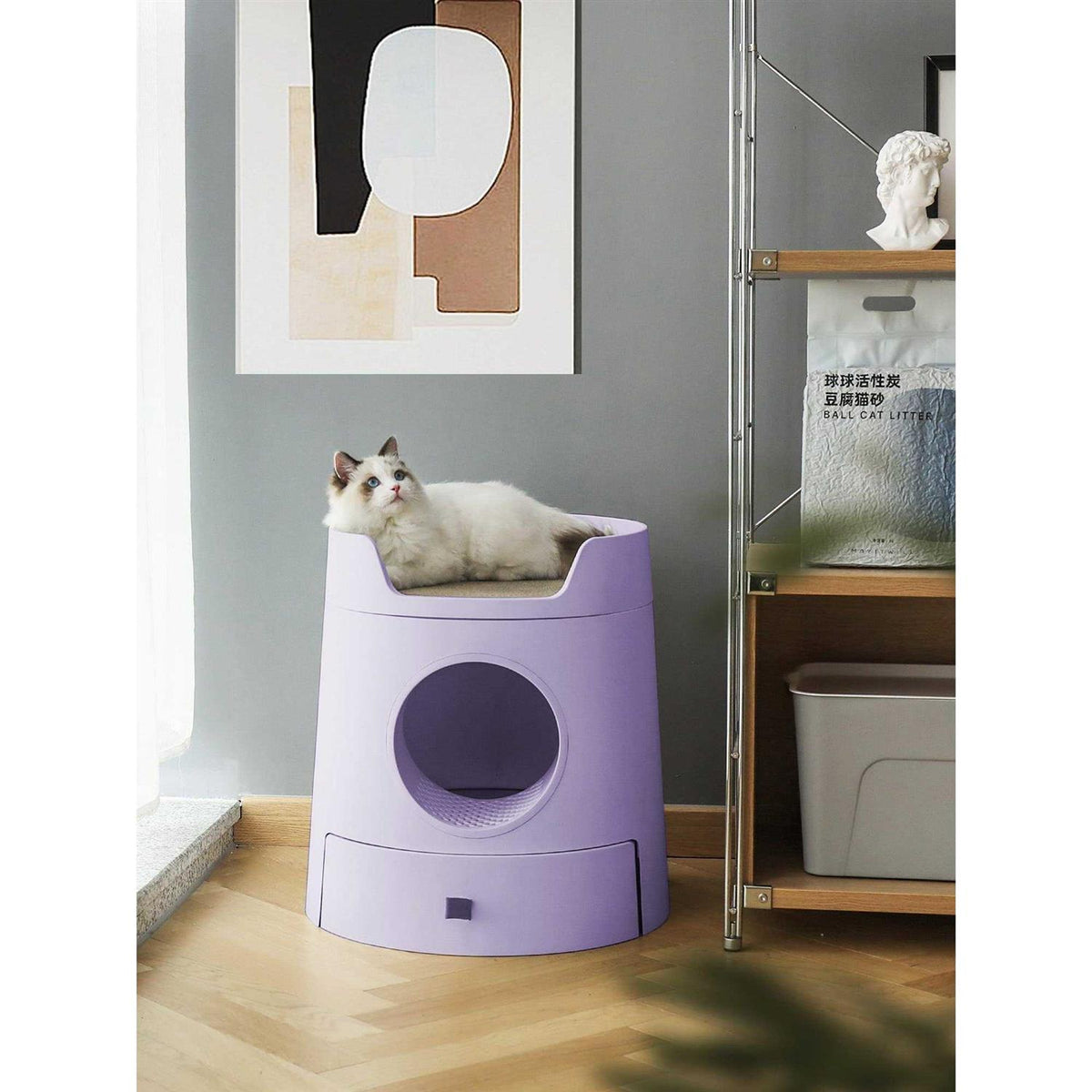 XL 2-in-1 Cat Litter Box with Scratch Basin Y480220