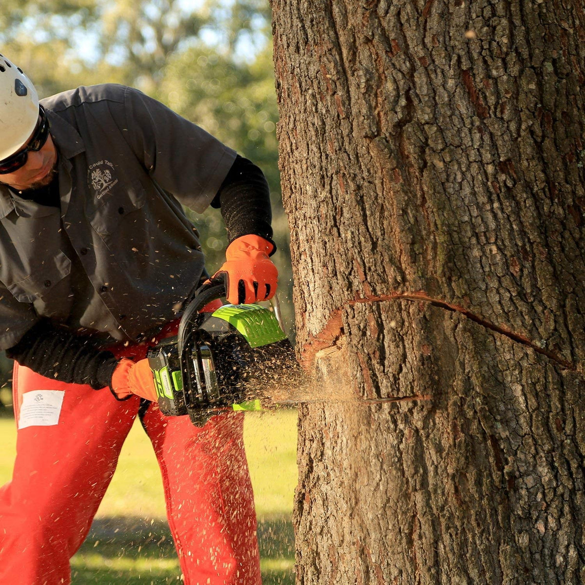 18-Inch 80V Cordless Lithium-Ion Chainsaw U1820