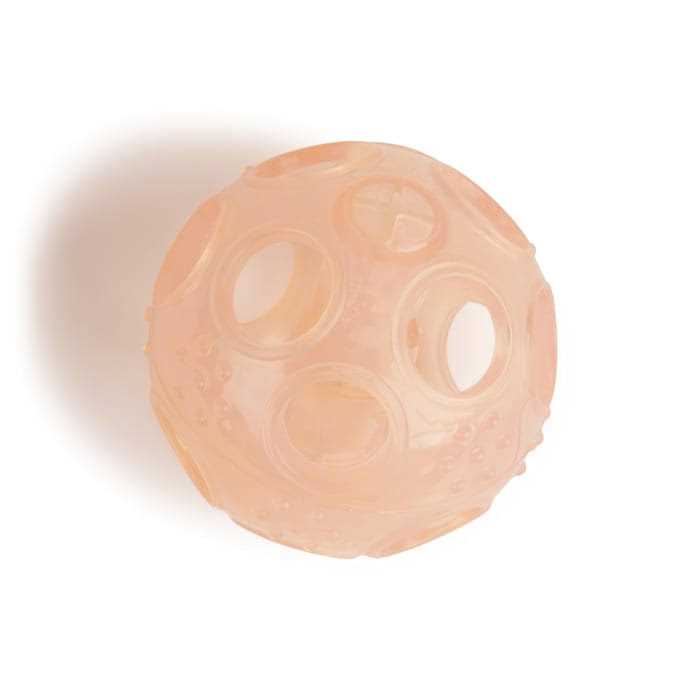 Treat Dispenser Ball Puppy Toy E175405