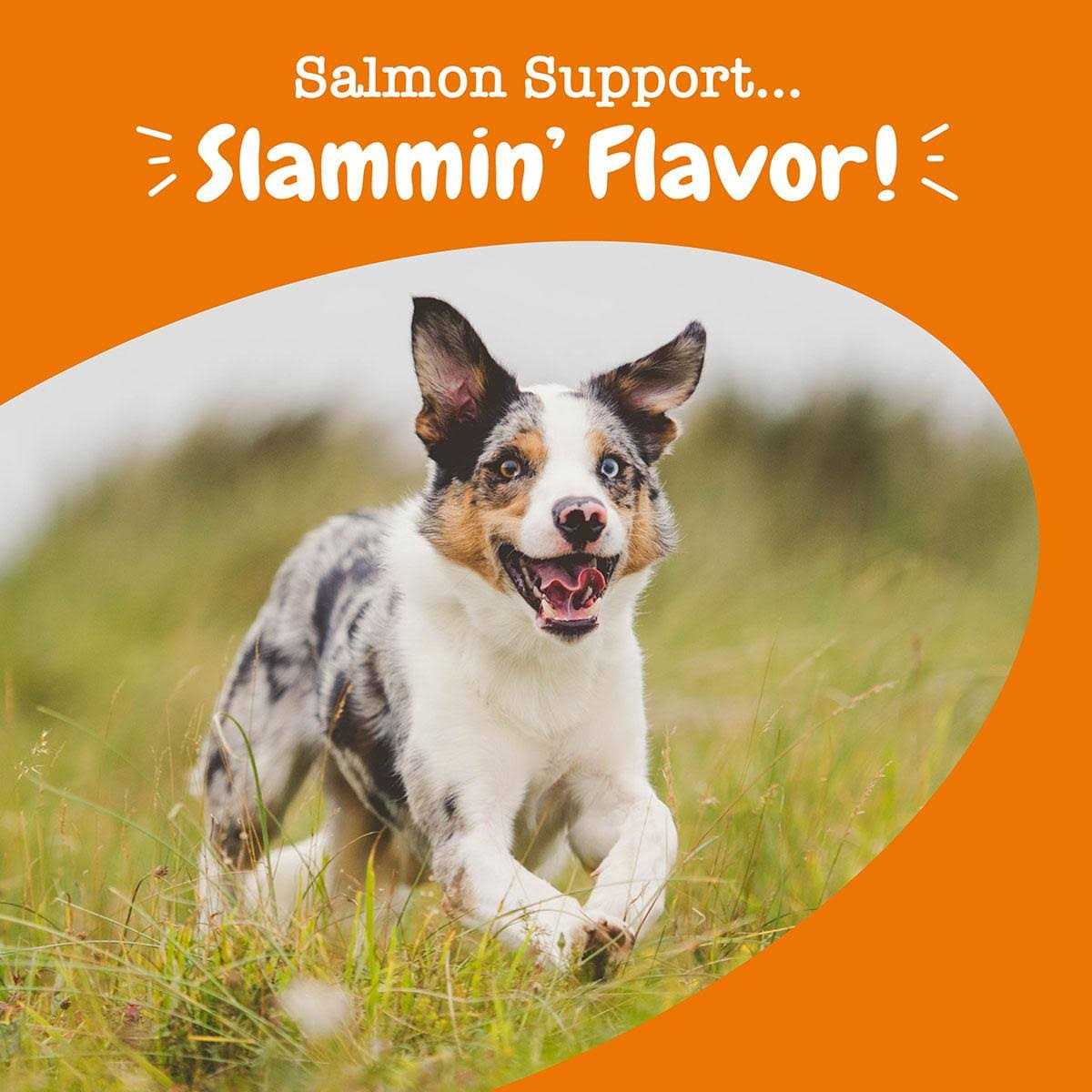 Salmon Bites for Dogs Skin & Coat T199