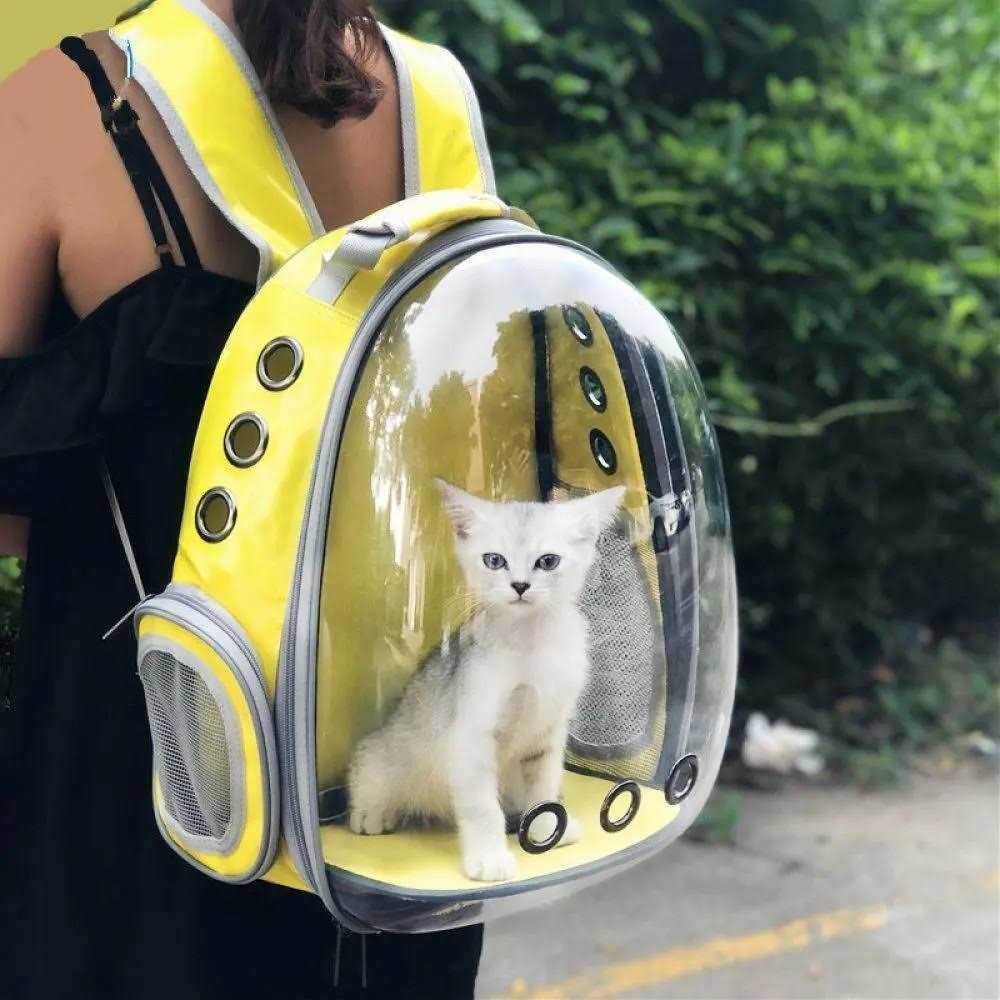 Cat Backpack Carrier Bubble Bag Small Dog Backpack Carrier Z5262