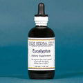 Eucalyptus L122