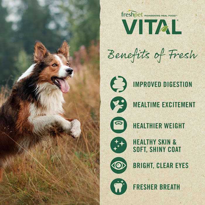 Grain-Free Chicken Pet Food K516