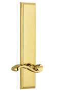 Polished Brass Tall Plate Privacy Lever F906267