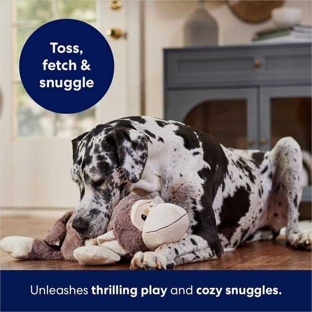 Plush Squeaky Dog Toy U80176
