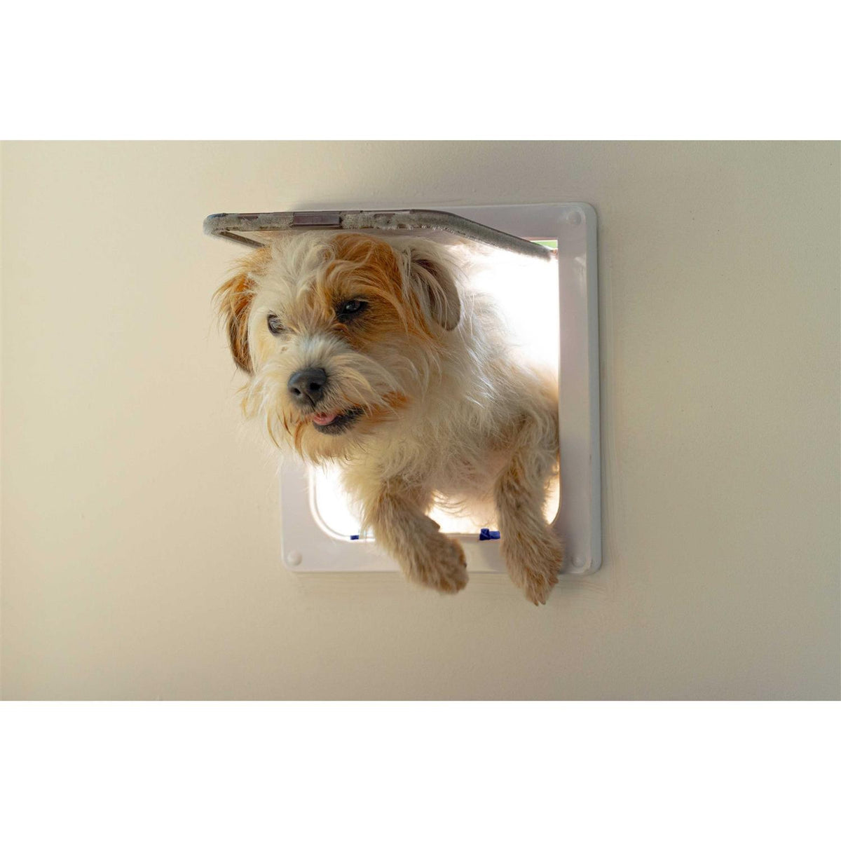 Large Cat/Small Dog Door T38209