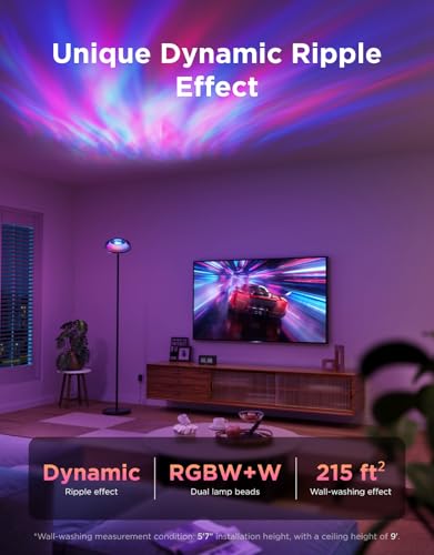 Floor Lamp with 215 ft² Light Area, 1000lm LED Z992157