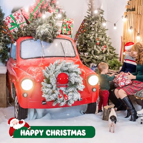 Christmas Reindeer Car Kit with LED B35441