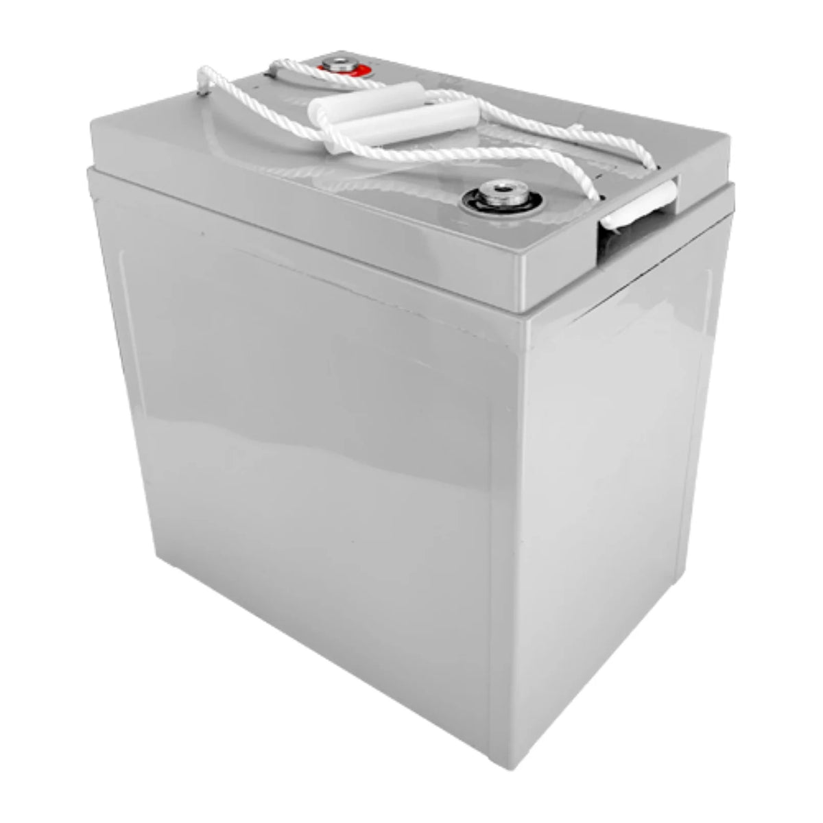 Sealed Deep-Cycle Golf Cart Battery V123802