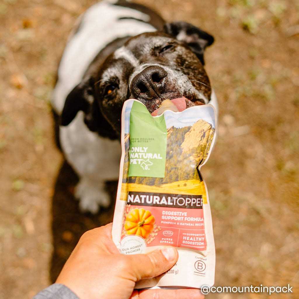 Natural Pet Digestive Support Dog Food Topper D6985