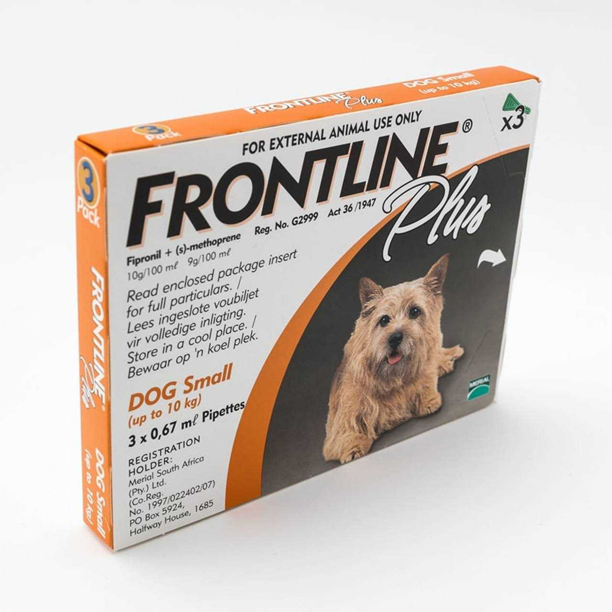 Small Dogs 2-10Kg Pet Supplies O362781