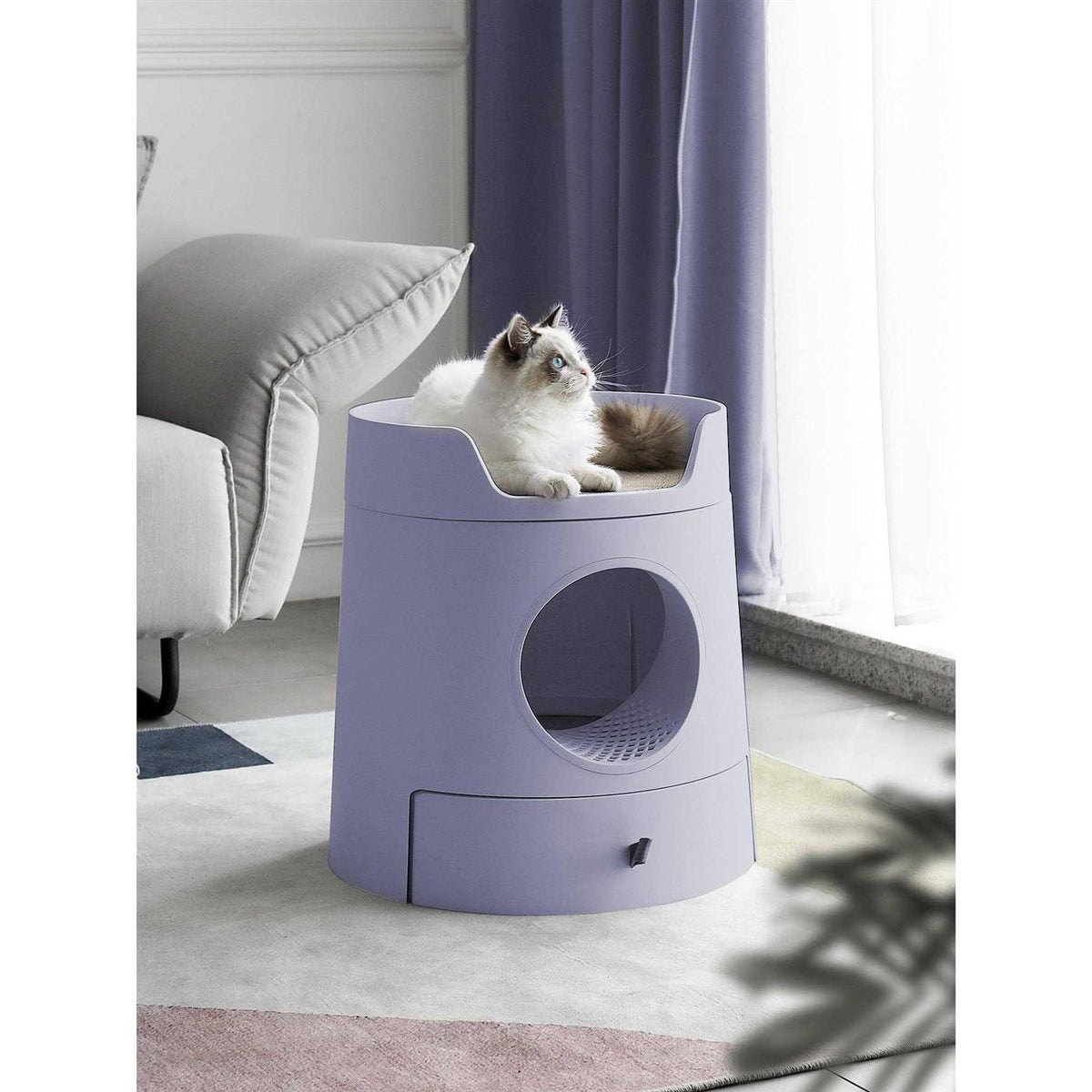 XL 2-in-1 Cat Litter Box with Scratch Basin Y480220