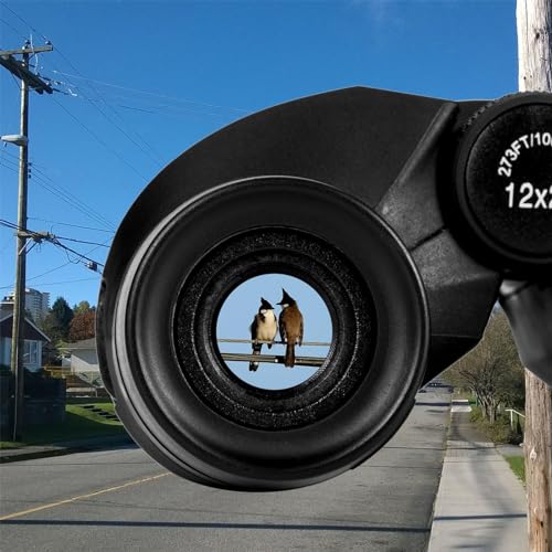 12x25 Compact Waterproof Binoculars with Low Light Vision Y289041
