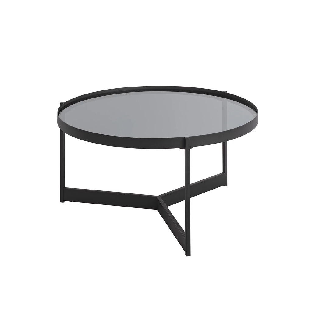 Metal and Glass Coffee Table T110485