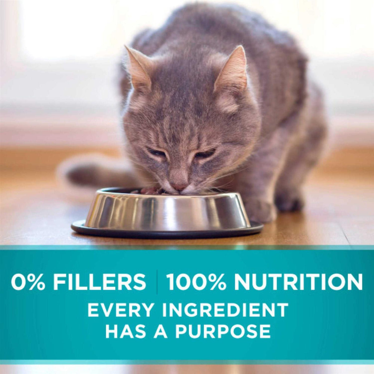 High Protein Ocean Whitefish & Rice Wet Cat Food N203