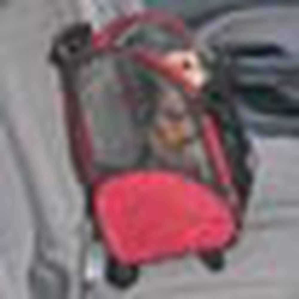 Travel Pet Carrier A1482