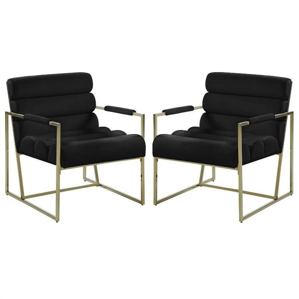 Black Velvet Accent Chair Set of 2 S413954