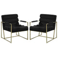 Black Velvet Accent Chair Set of 2 S413954