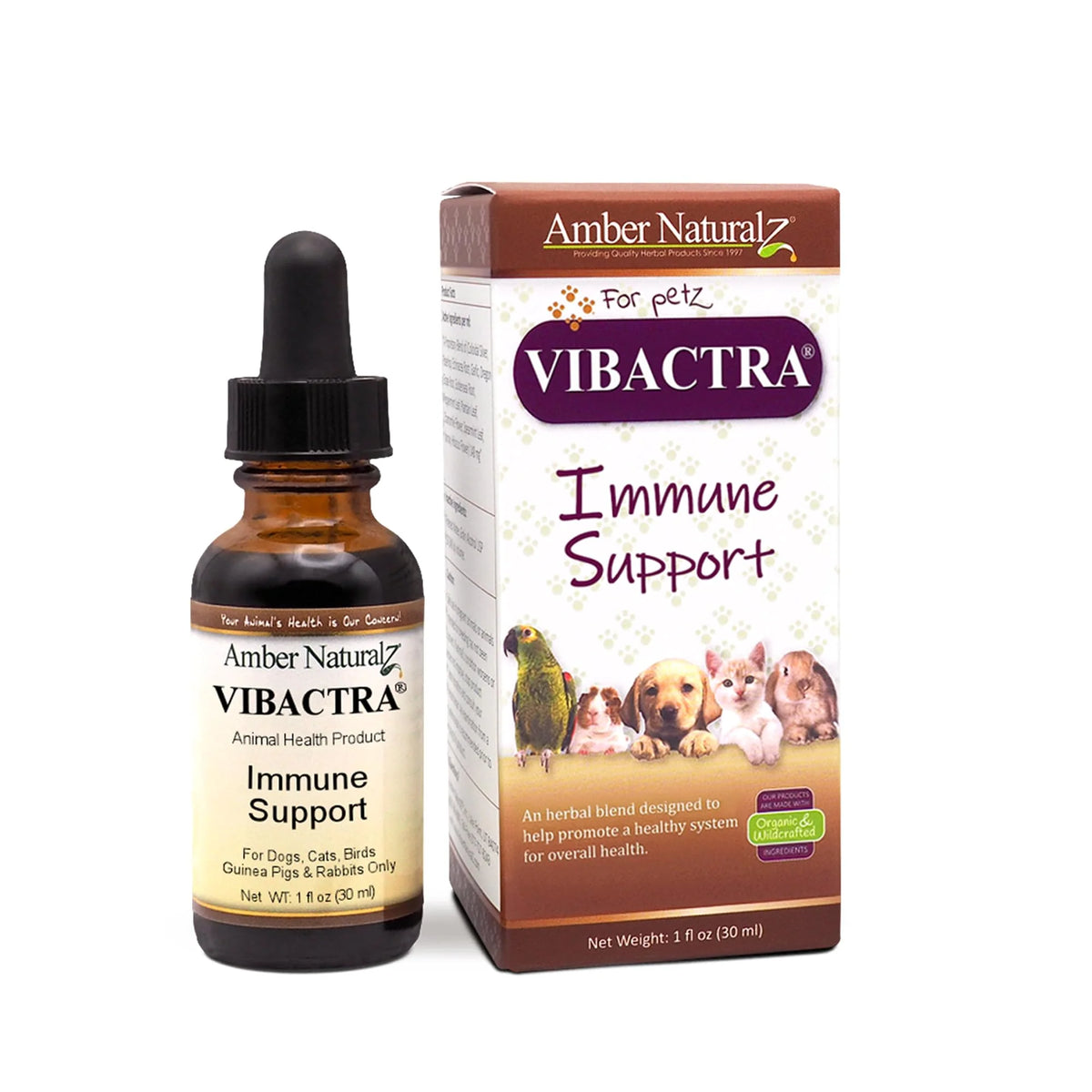 1 Oz Immune Support Formula Y647793