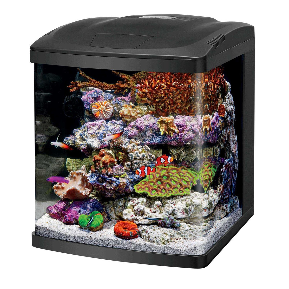 16 Gallon Aquarium Fish Tank Kit N7530