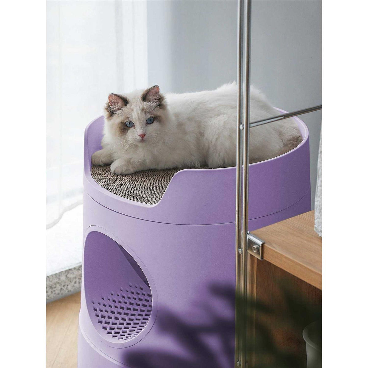 XL 2-in-1 Cat Litter Box with Scratch Basin Y480220
