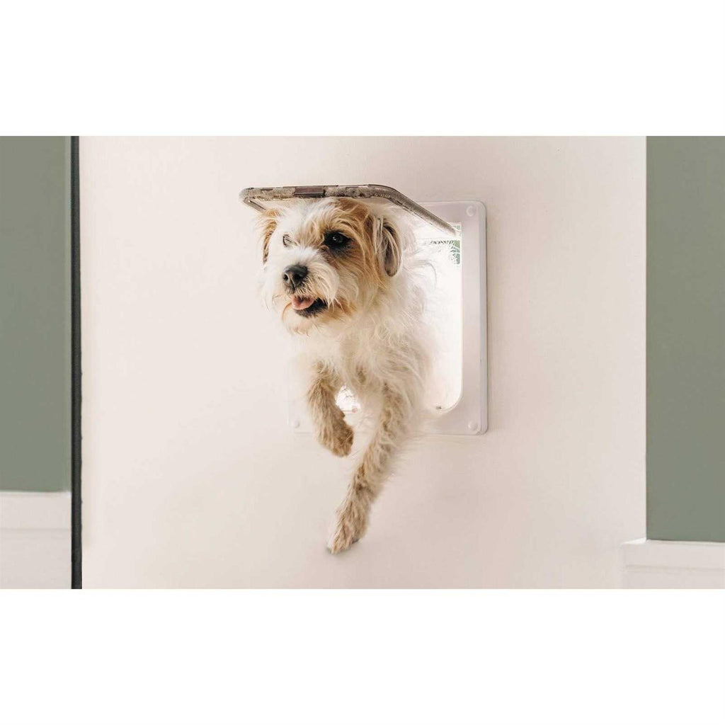Large Cat/Small Dog Door T38209