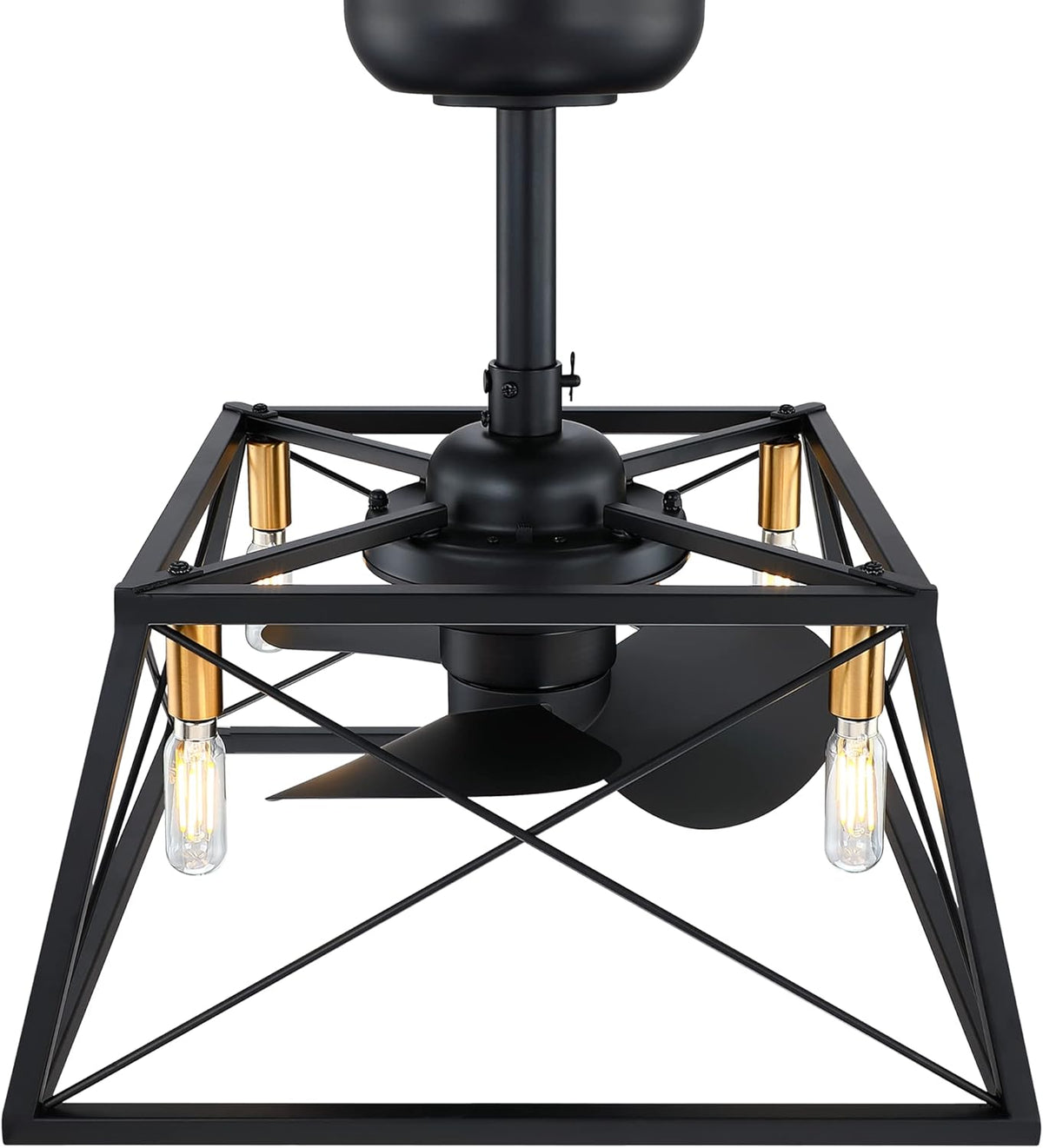 Black and Gold Caged Ceiling Fan with LED Light Kit L984