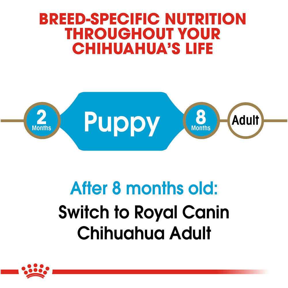 Chihuahua Puppy Dry Dog Food M8333