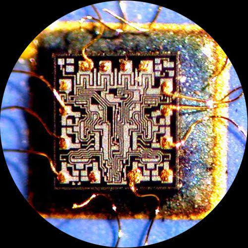 7X-45X Zoom Stereo Microscope with 80 LED Light G447