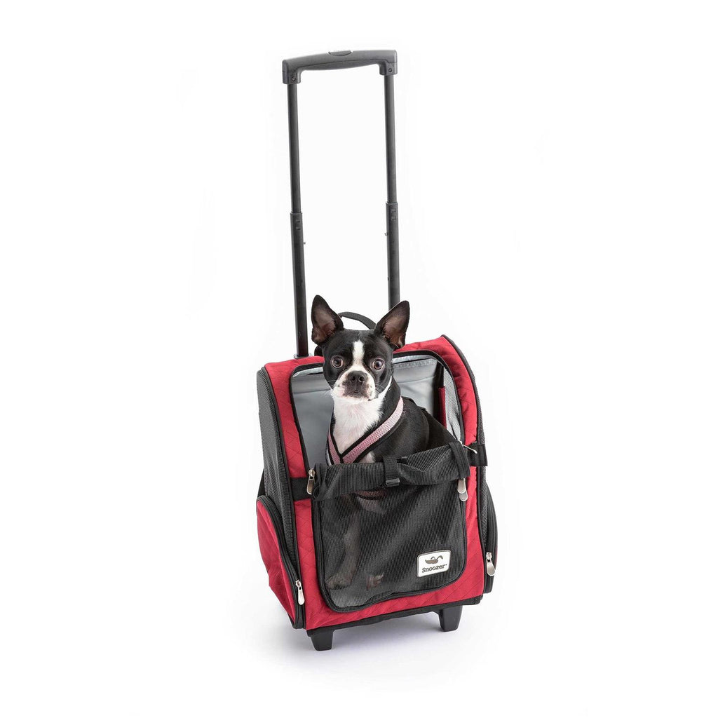 Travel Pet Carrier A1482