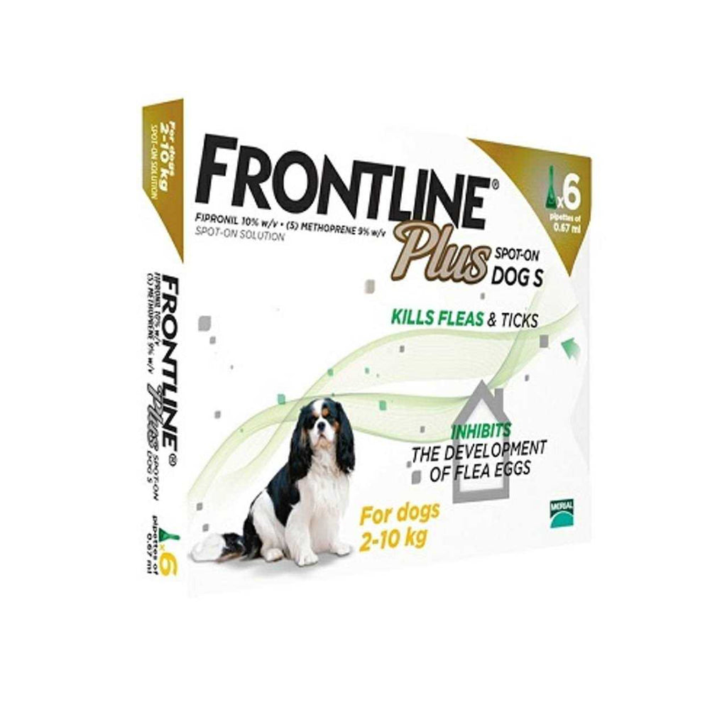 Small Dogs 2-10Kg Pet Supplies O362781
