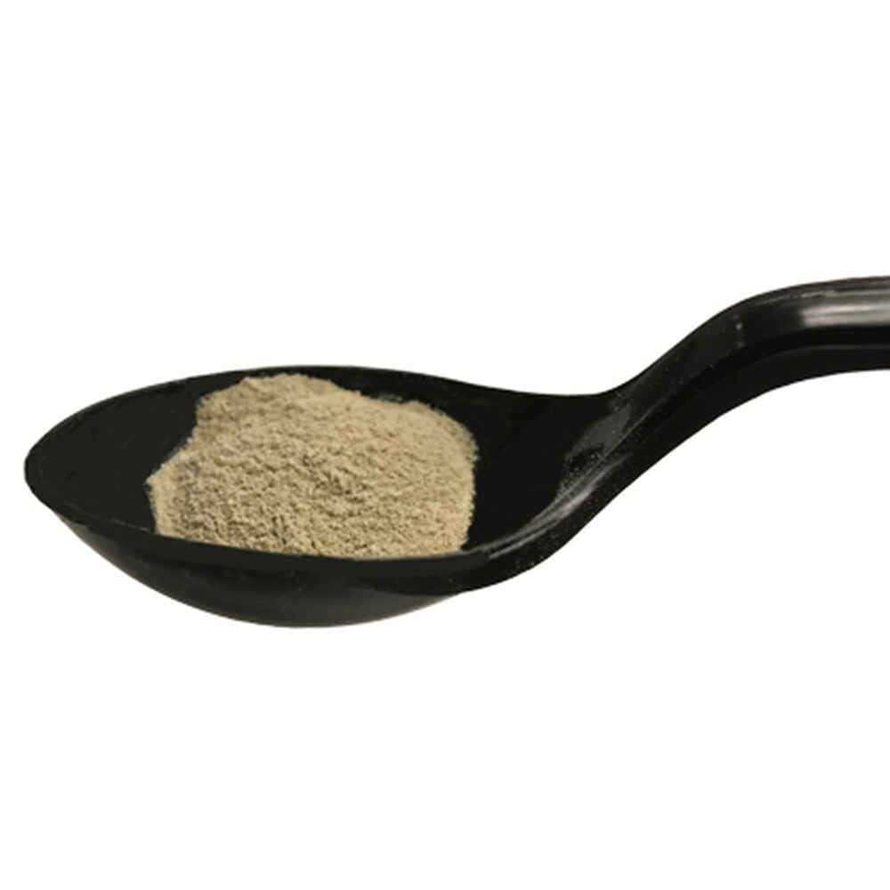Probiotic Nutritional Supplement for Cats X626
