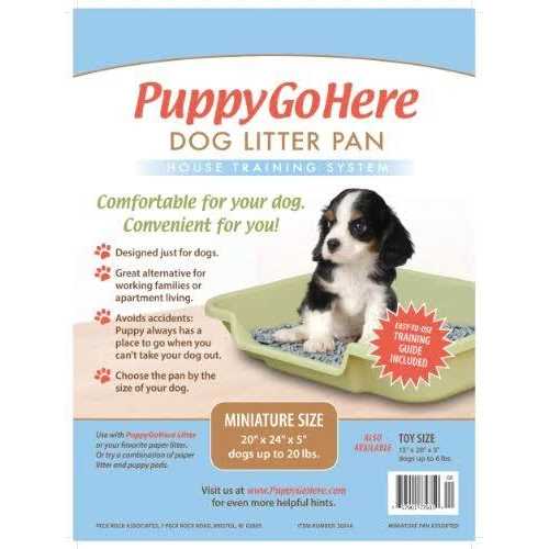 Dog Litter Box K3904