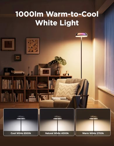 Floor Lamp with 215 ft² Light Area, 1000lm LED Z992157