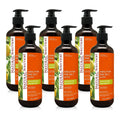 Exfoliating Body Wash Pack of 6 P61481