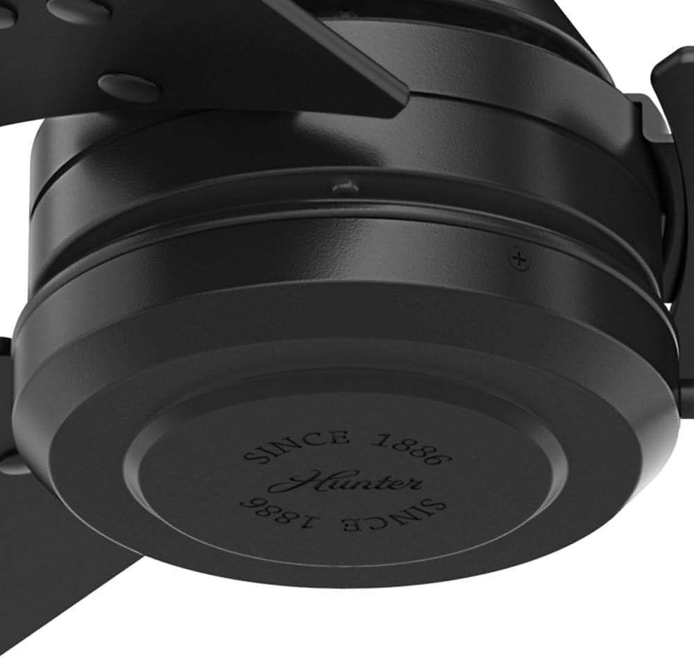 Indoor Outdoor Ceiling Fan with Pull Chain Control, 52, Matte Black N3149