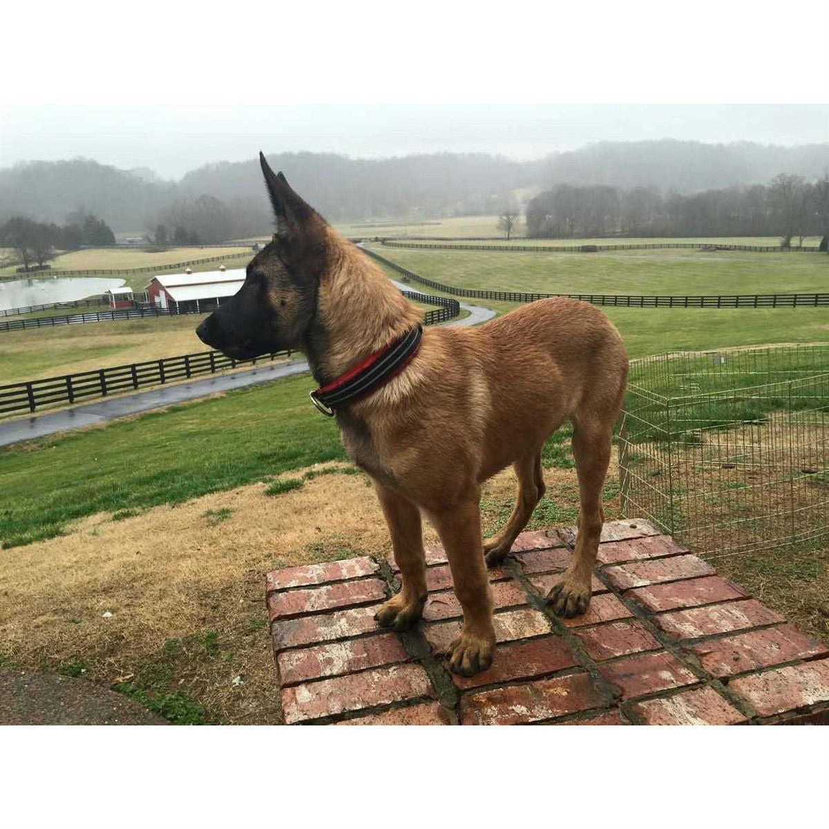 Limited Slip Collar K9542