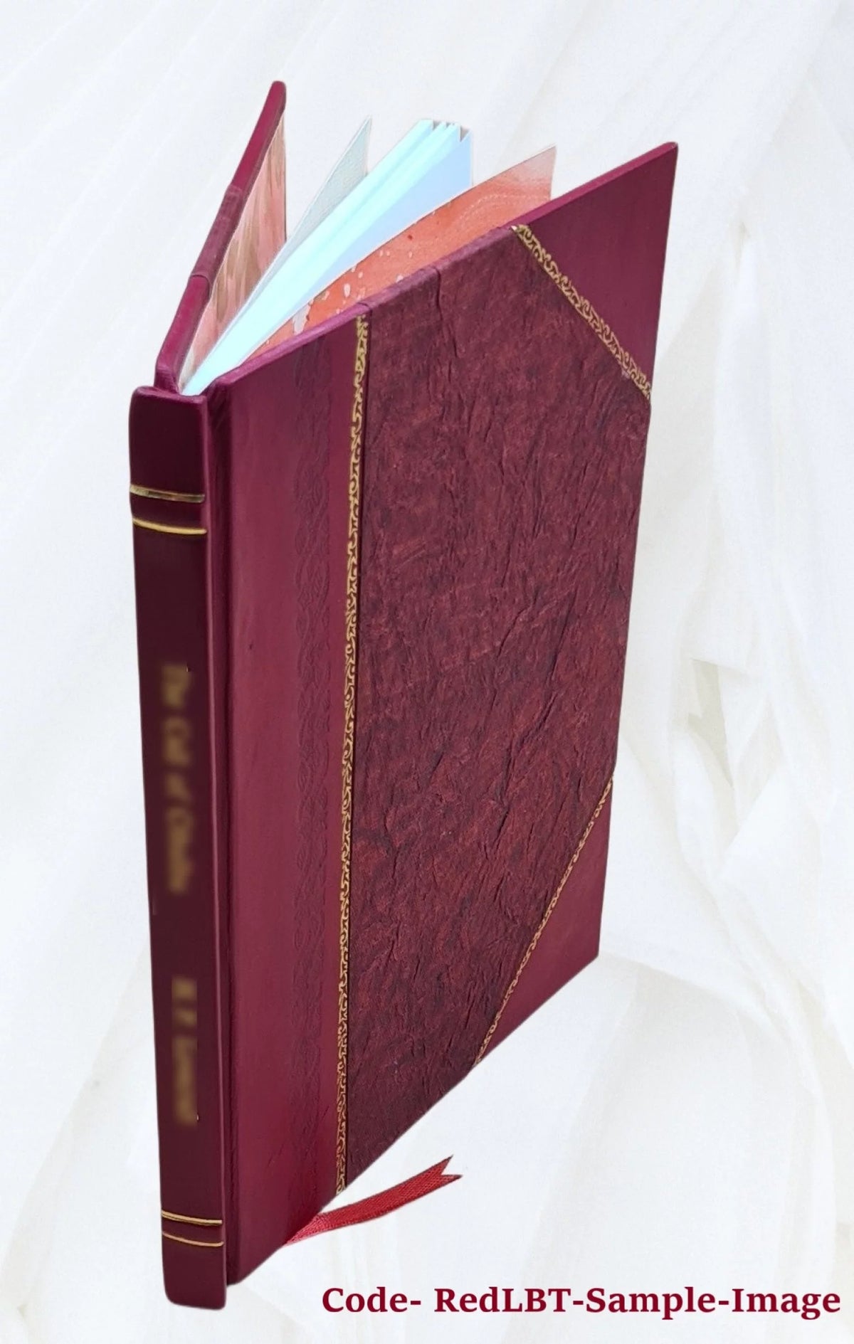 History of Ireland in the Nineteenth Century Leather Bound A48894